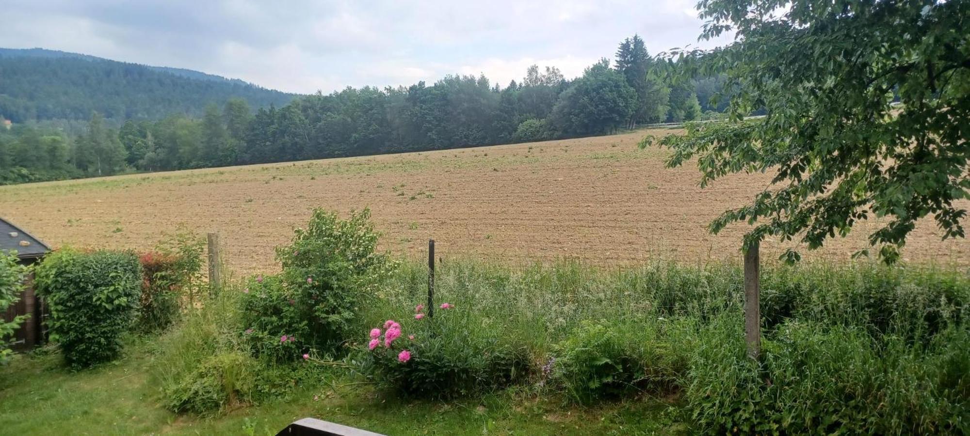Ferienwohnung Rihm Arrach Esterno foto